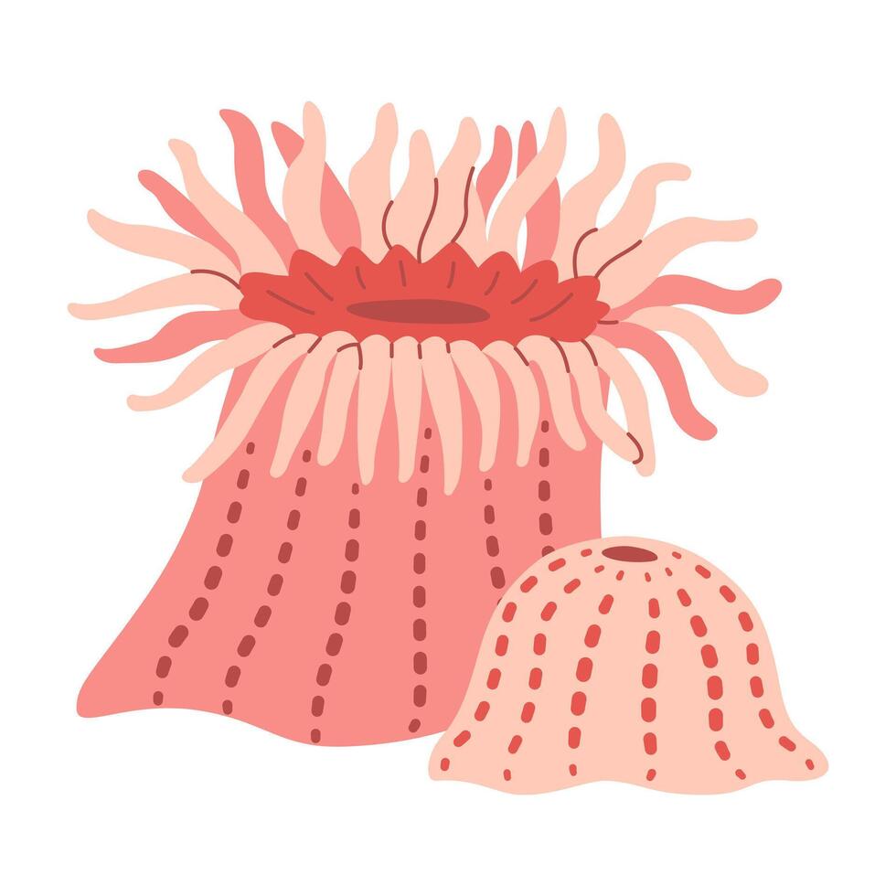 hav anemoner hand ritade. rosa actiniaria. exotisk korall rev under vattnet natur liv. modern platt illustration. vektor illustration