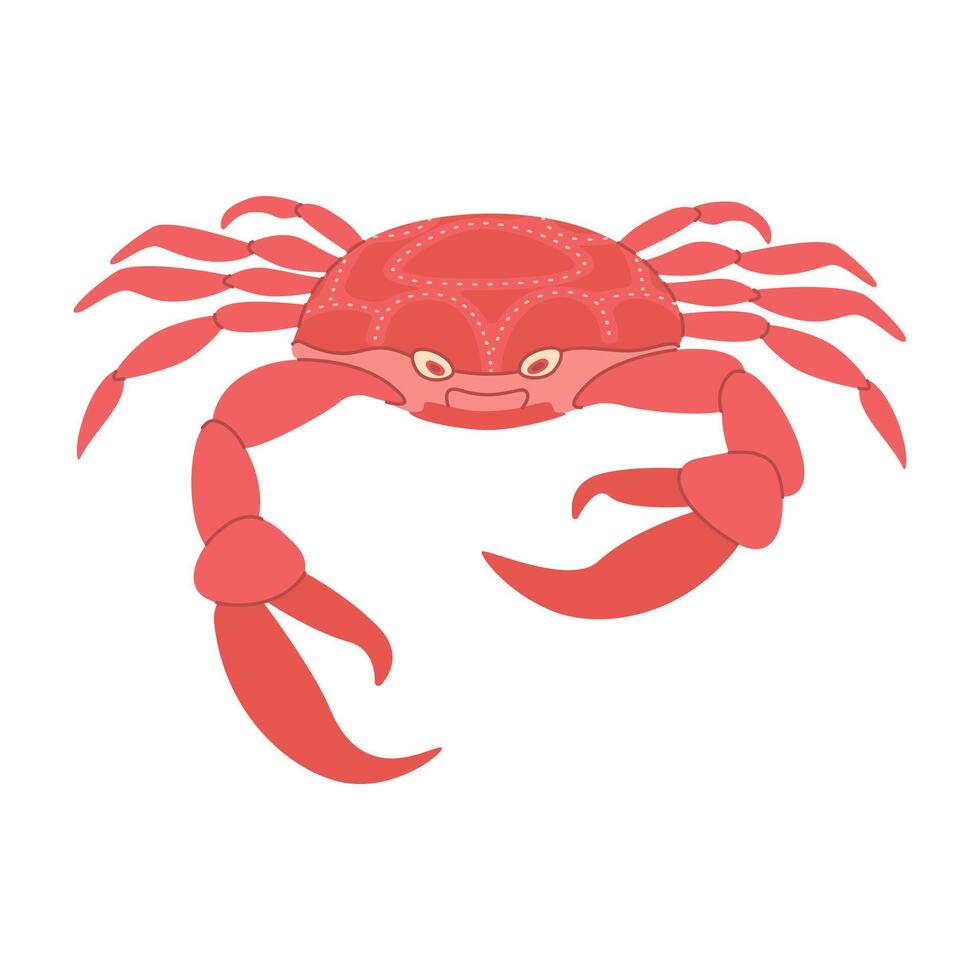 vektor illustration tecknad serie röd krabba. söt och skön hav djur. hand dragen platt stil röd krabba isolerat på vit. trendig platt vektor illustration
