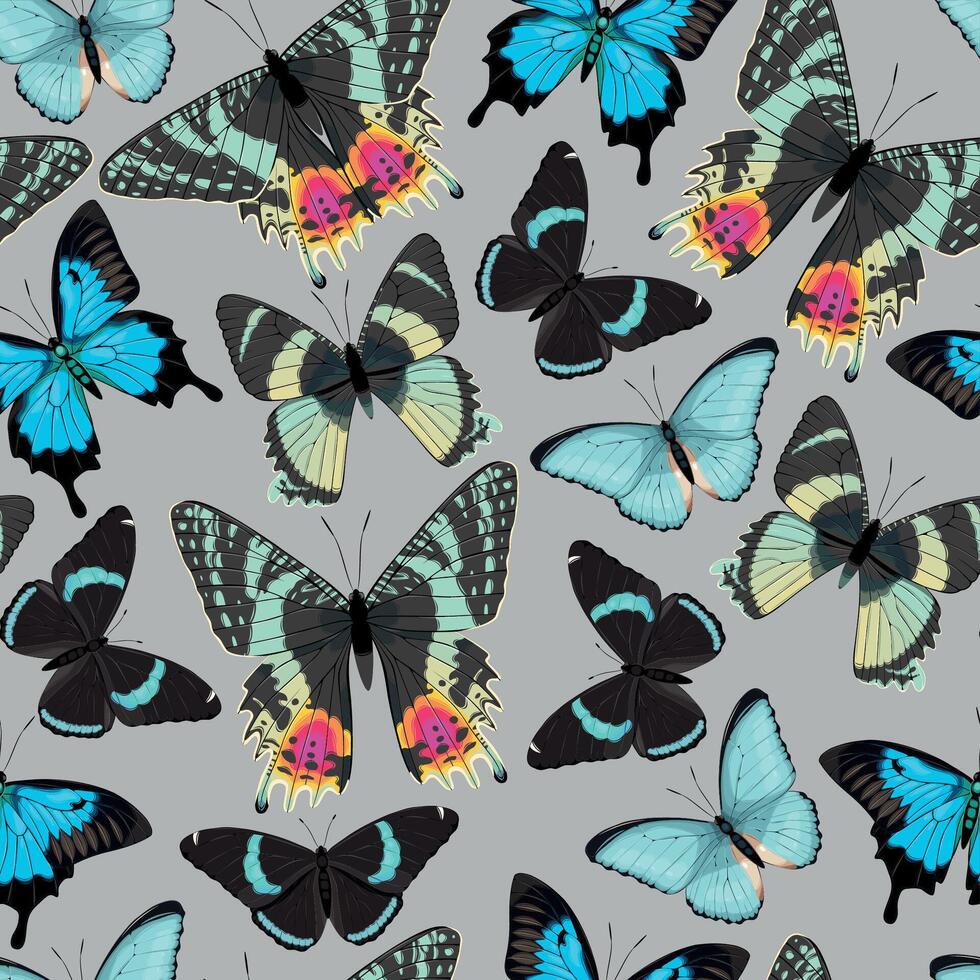 Vektor nahtlos Muster mit hoch detailliert tropisch Schmetterling