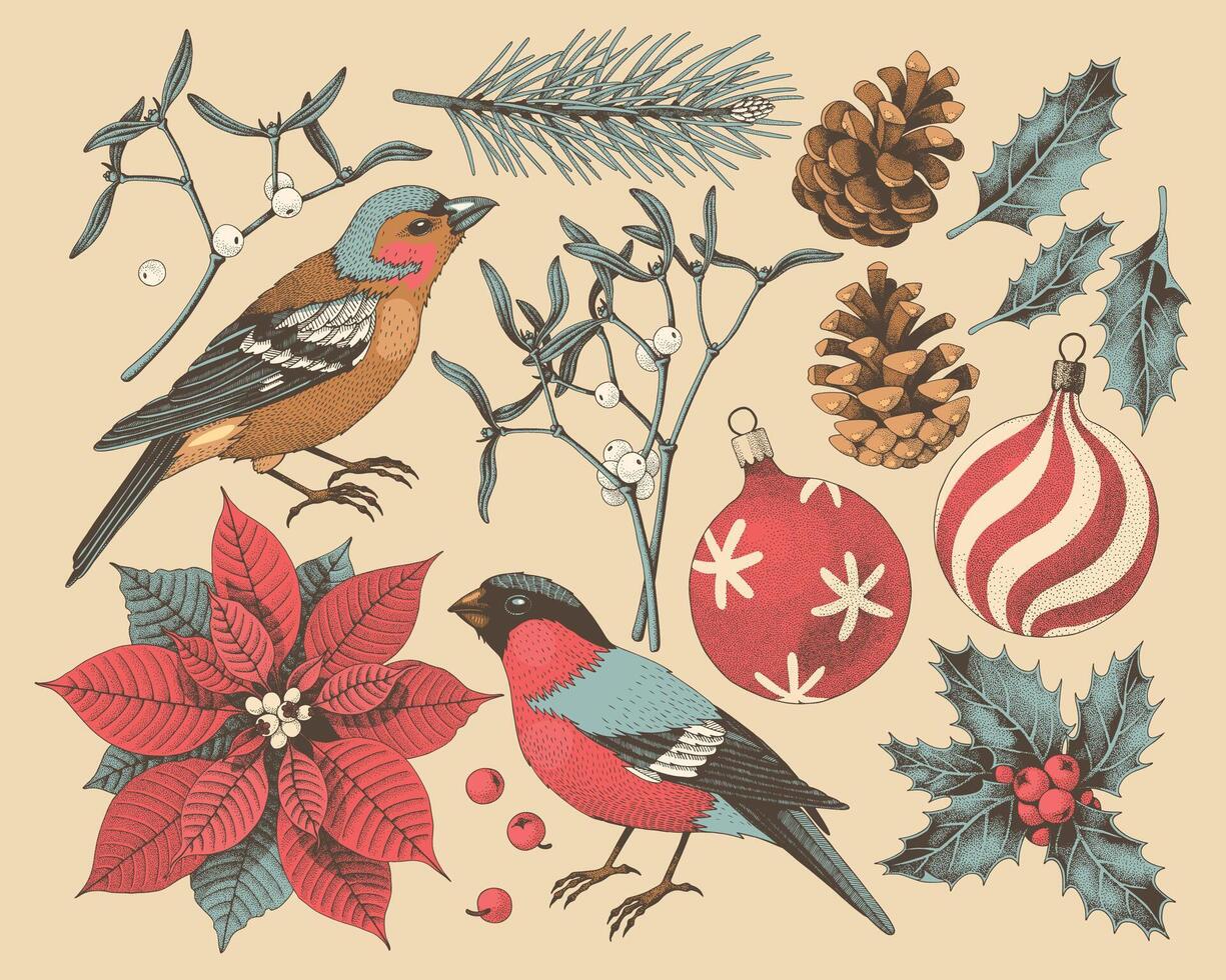 stor vektor uppsättning av hand dragen jul vinter- flora och fauna, årgång stil