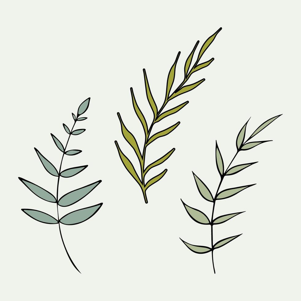 Vektor Illustration von ein einstellen von wild Pflanzen, Geäst auf ein blass Grün Hintergrund.