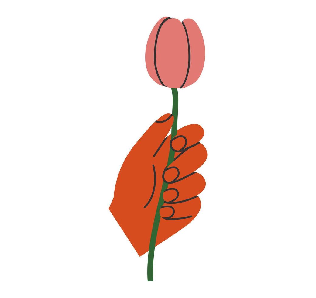 hand dragen söt tecknad serie illustration av hand med tulpan. platt vektor ärm innehar de vår blomma klistermärke i färgad klotter stil. blomning växt, botanik ikon eller skriva ut. isolerat på bakgrund.