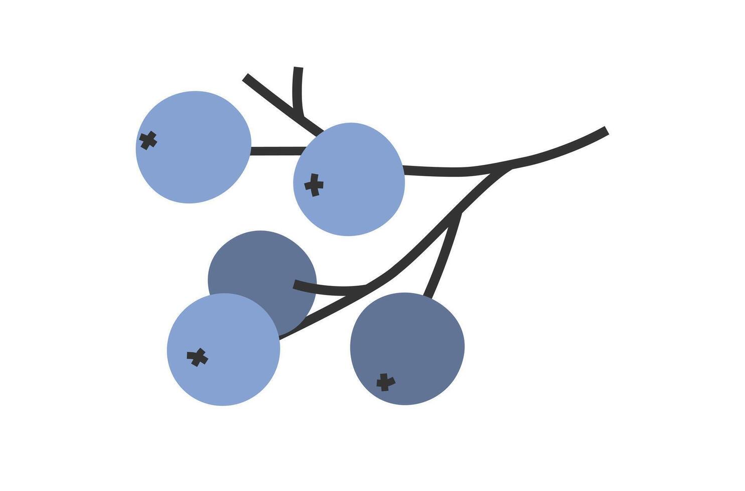 hand dragen söt blommig illustration av blå höst eller vinter- bär. platt vektor kvist eller gren i enkel färgad klotter stil. skog, natur klistermärke, ikon eller skriva ut. isolerat på vit bakgrund.