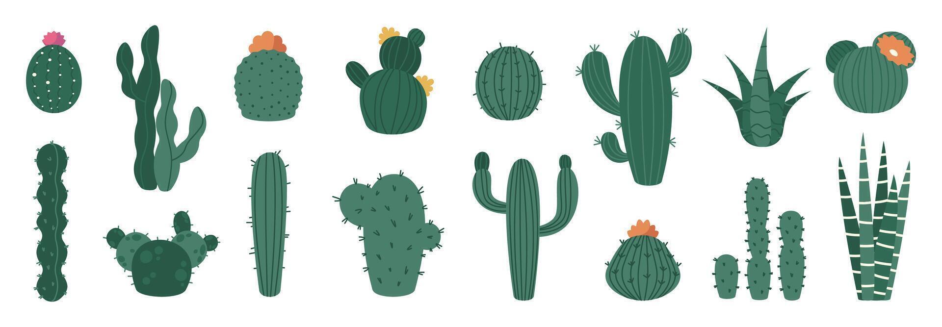 tecknad serie kaktus. söt taggig växt med blommor, mexikansk öken- flora dekorativ ikoner, organisk dekorativ element för sommar design. vektor isolerat uppsättning