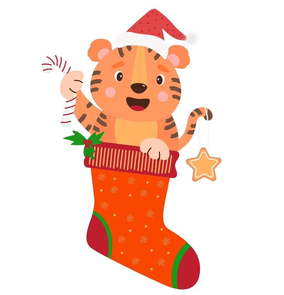 söt tigerungetomte med pepparkakor och randig kola i julstrumpa. vektor illustration