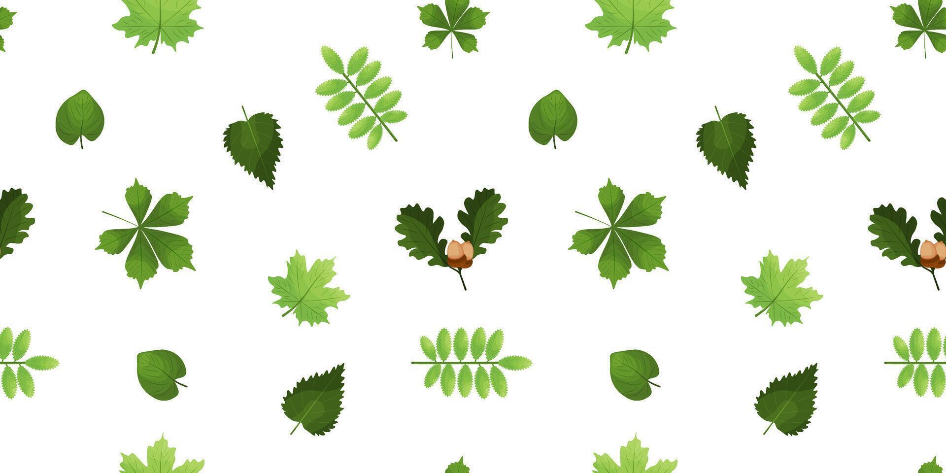 vektor sömlös grön skog löv. vår eller sommar design för inbjudningar, hälsning kort, förpackning, tapet.