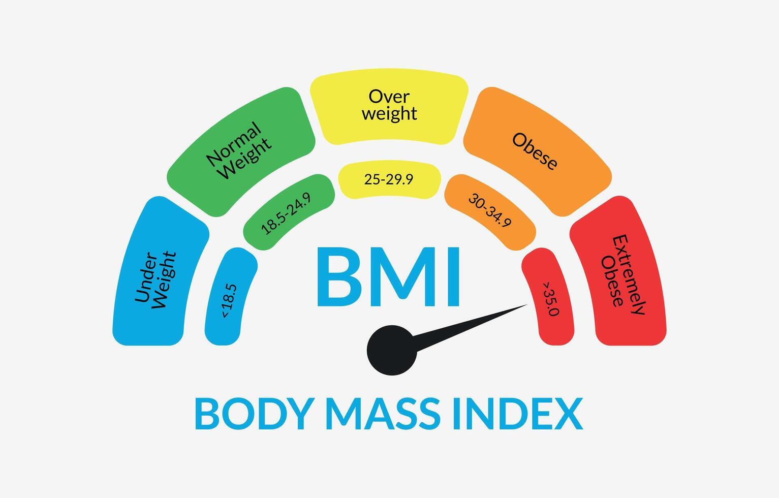 Körper Masse Index Infografik Diagramm. bunt bmi Diagramm Vektor Illustration mit Weiß isoliert Hintergrund