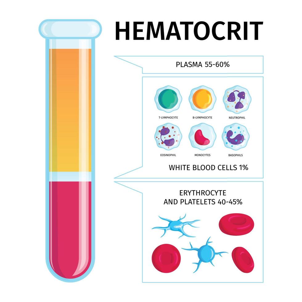 Infografiken zu Blutzellenplasma vektor