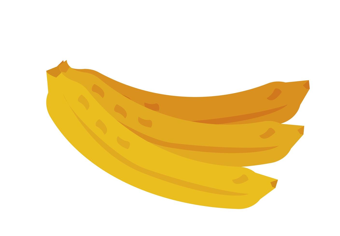 isolerade bananer frukt vektor