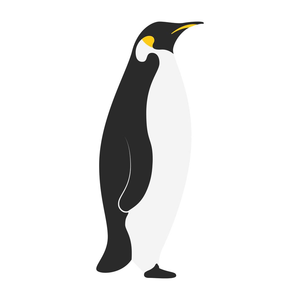 kleiner süßer Pinguinvogelcharakter vektor