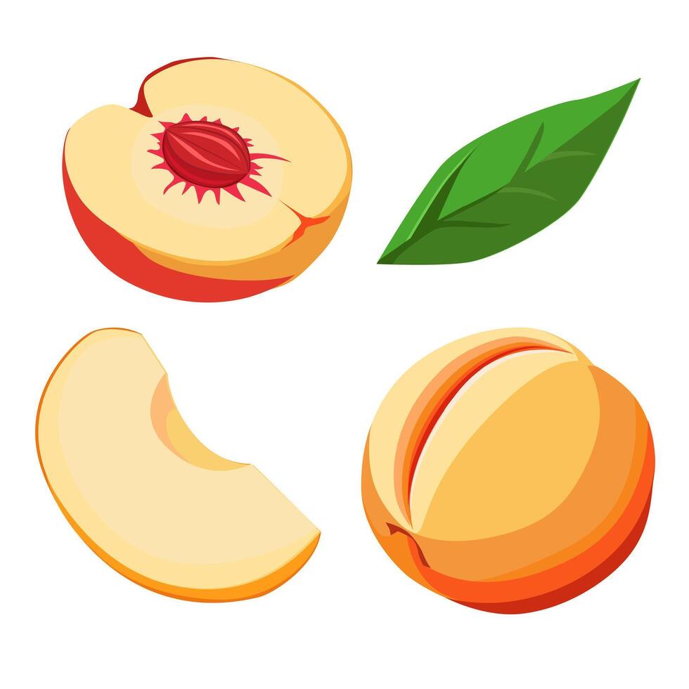 uppsättning av saftig och friska orange persika och skivor isolerat på vit bakgrund. vektor skivad frukt illustration i platt stil. sommar ClipArt för design av kort, baner, flygblad, försäljning, affisch, ikoner
