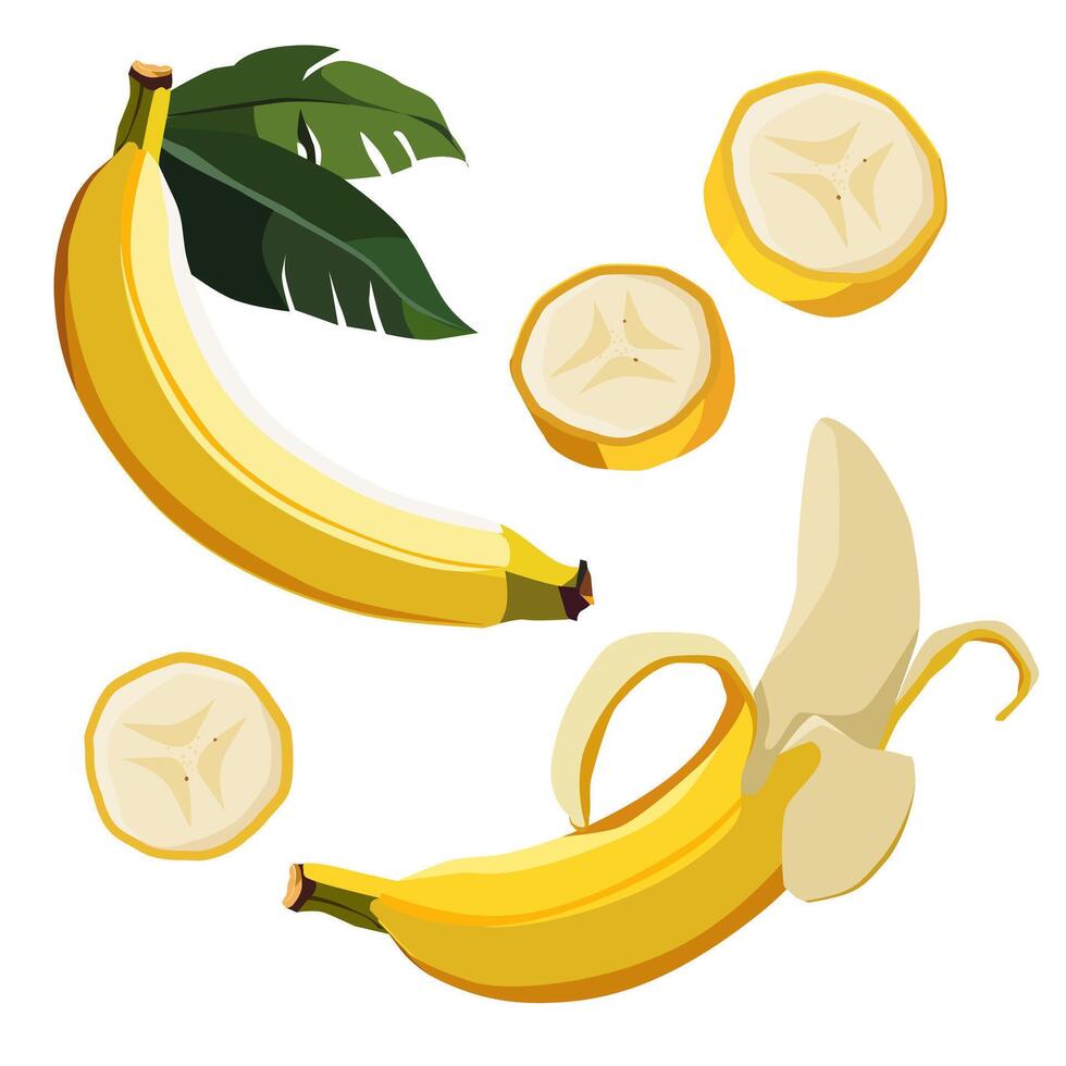 uppsättning av mogen och friska gul banan och skivor isolerat på vit bakgrund. vektor skivad frukt illustration i platt stil. sommar ClipArt för design av kort, baner, flygblad, försäljning, affisch, ikoner