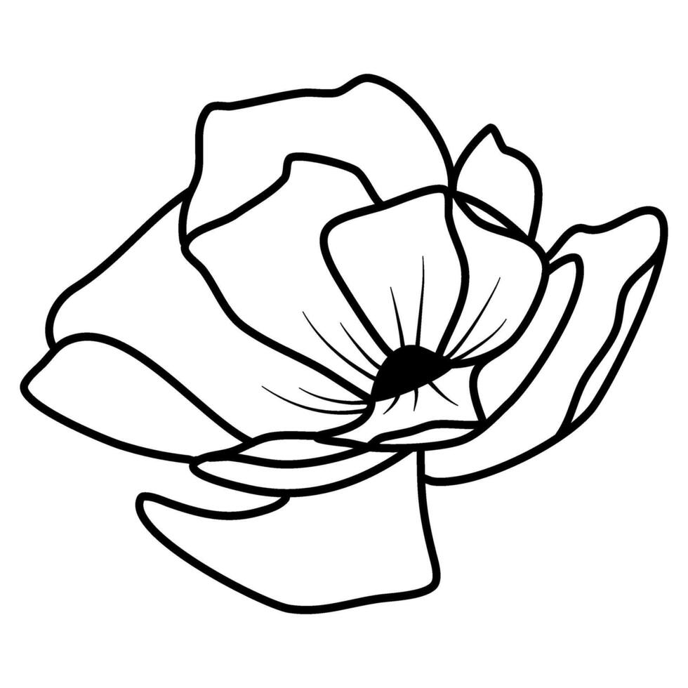 blomma vektor illustration sakura körsbär blomma blommig linje konst