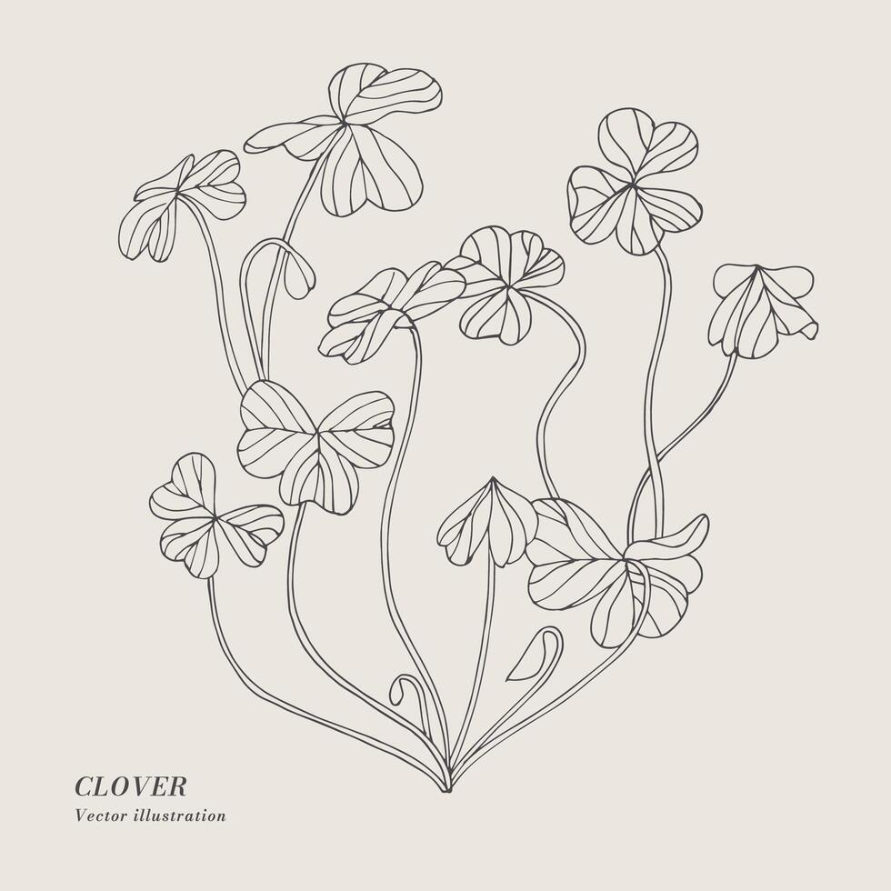 hand dra vektor klöver ört- illustration. botanisk blommig kort på vit bakgrund