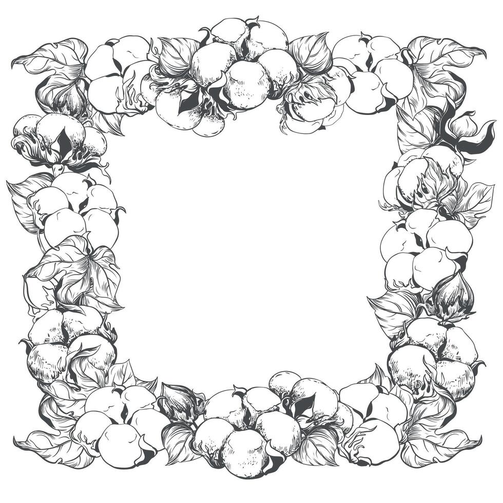 fyrkant ram med bomull blommor och Plats för text. vit bomull blommor använder sig av gravyr Metod. linjär skiss av vit bomull bollar, löv och grenar. vektor retro bläck illustration.