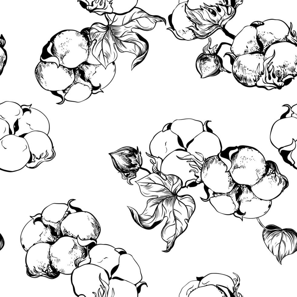 vektor, sömlös, svart och vit mönster av bomull blommor. botanisk illustration använder sig av gravyr Metod. bomull grenar med löv är dragen med bläck. illustration lämplig för tyg, textil- vektor