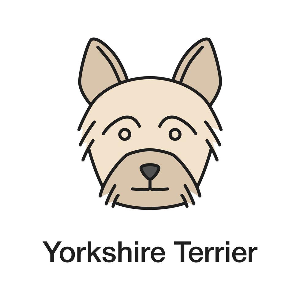 yorkshire terrier färgikon. yorkie. isolerade vektor illustration