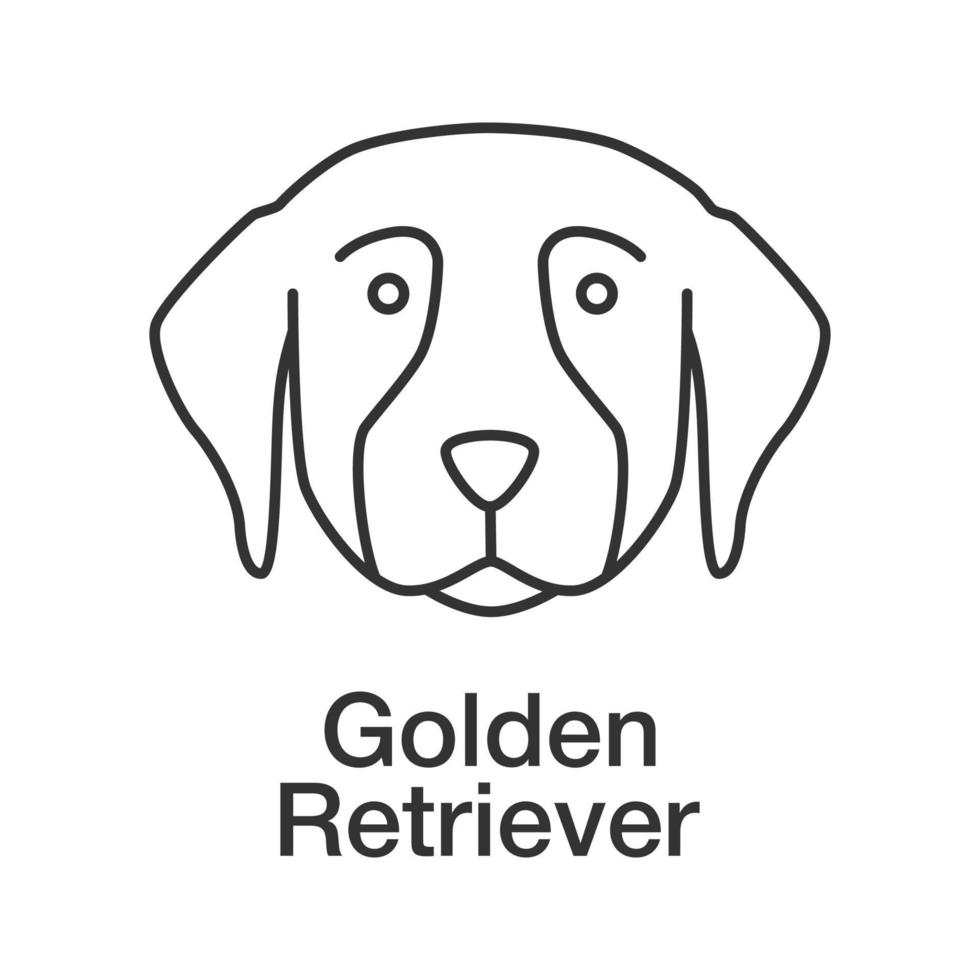 Golden Retriever lineares Symbol. dünne Linie Abbildung. Blindenhunderasse. Kontursymbol. Vektor isolierte Umrisszeichnung