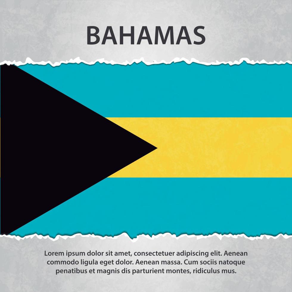 Bahamas-Flagge auf zerrissenem Papier vektor