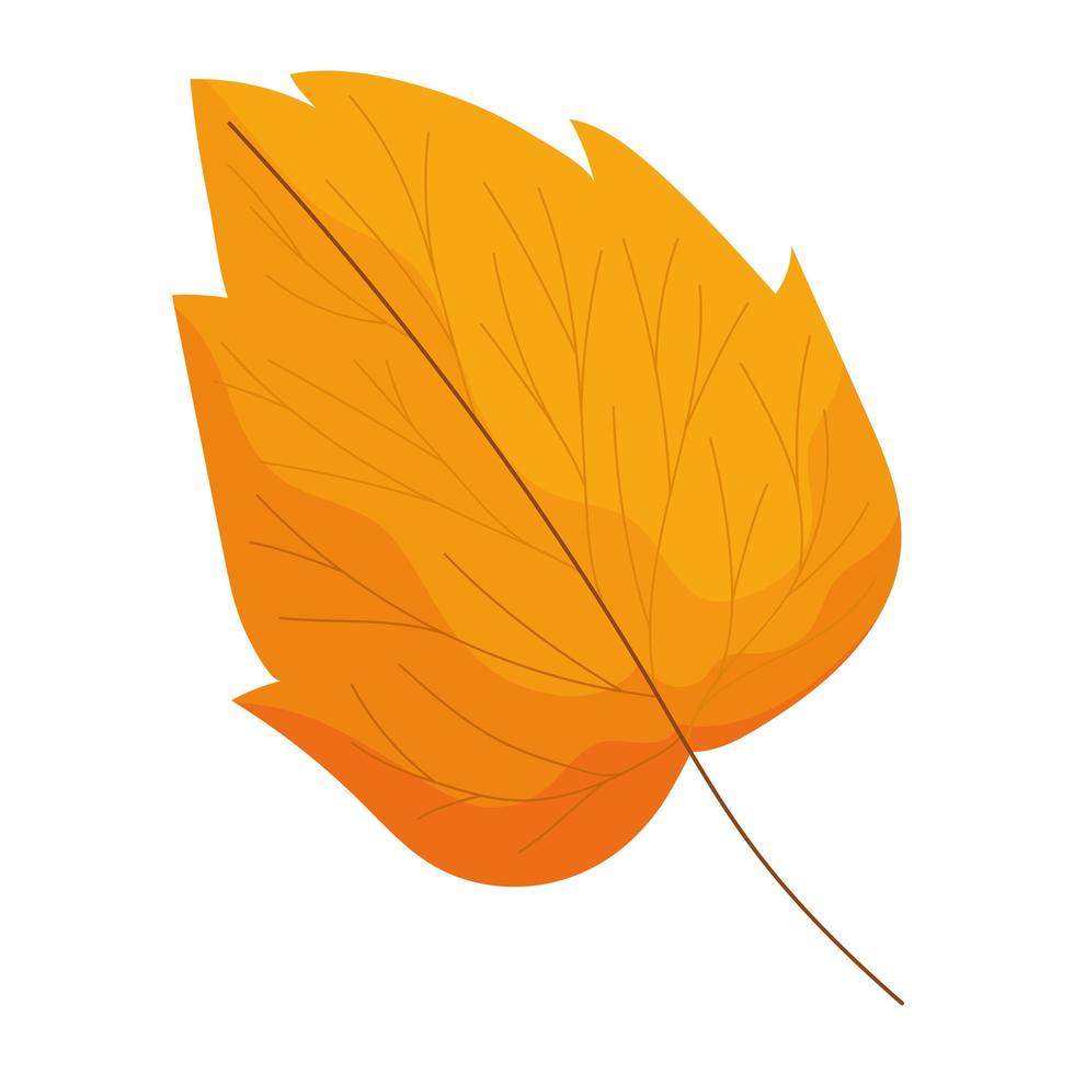 höstens ovala blad vektor