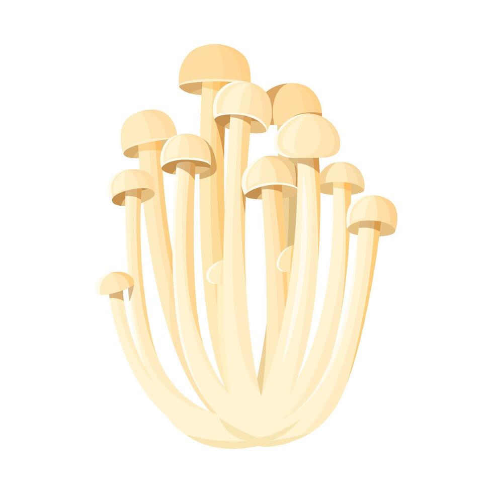 Cluster von Enoki Pilze. Bündel von Pilz isoliert. Vektor Illustration von ein asiatisch Küche Zutat. Nahaufnahme, transparent Hintergrund.