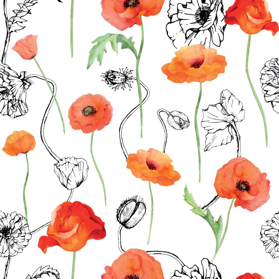 hand dragen vattenfärg botanisk illustration blommor löv. röd vallmo papaver, stjälkar knoppar frökapslar. sömlös mönster isolerat vit bakgrund. design bröllop, kärlek kort, minne dag brevpapper vektor