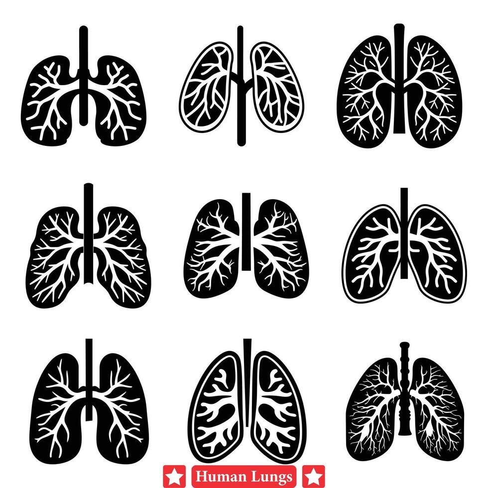 mänsklig lungor vektor illustrationer uppsättning erbjudande förbättrad visuell klarhet för hälsa diagram