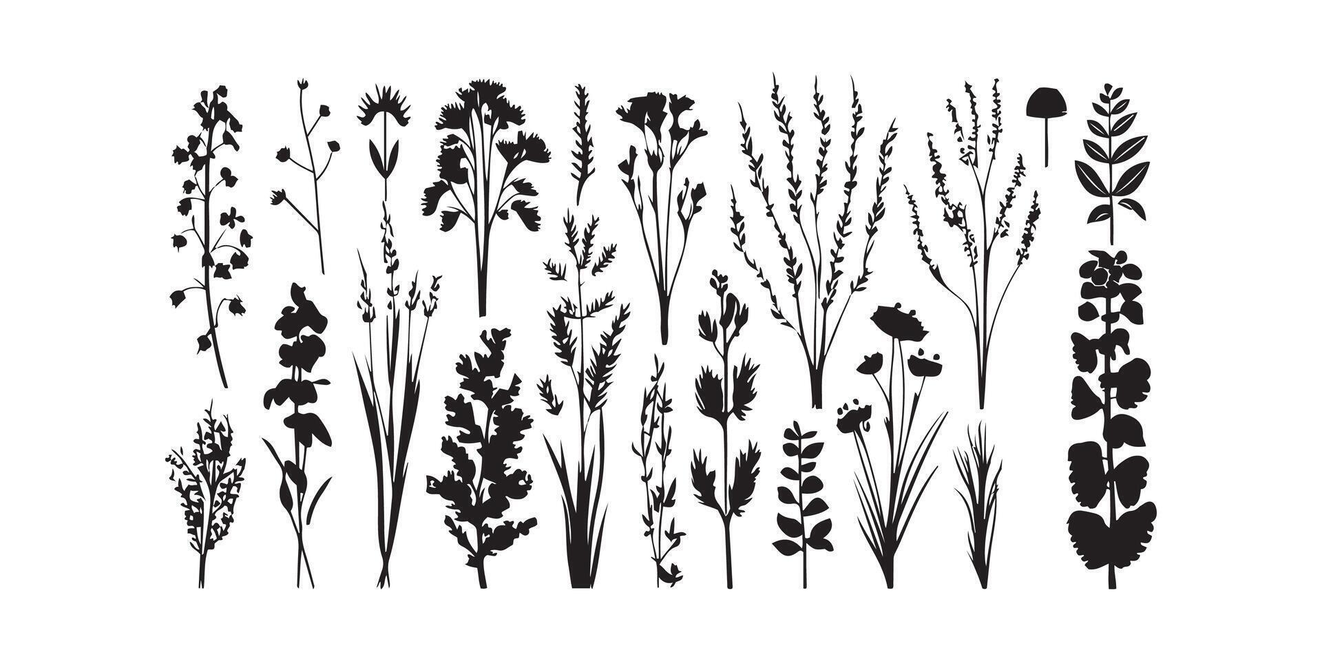 wild Wiese Kräuter blühen Blumen Vektor Silhouetten Sammlungen Vektor Kunst Illustration