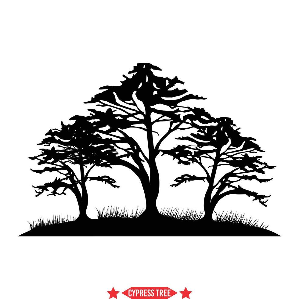 cypress träd silhuett samling tidlös grafik för utomhus- teman vektor