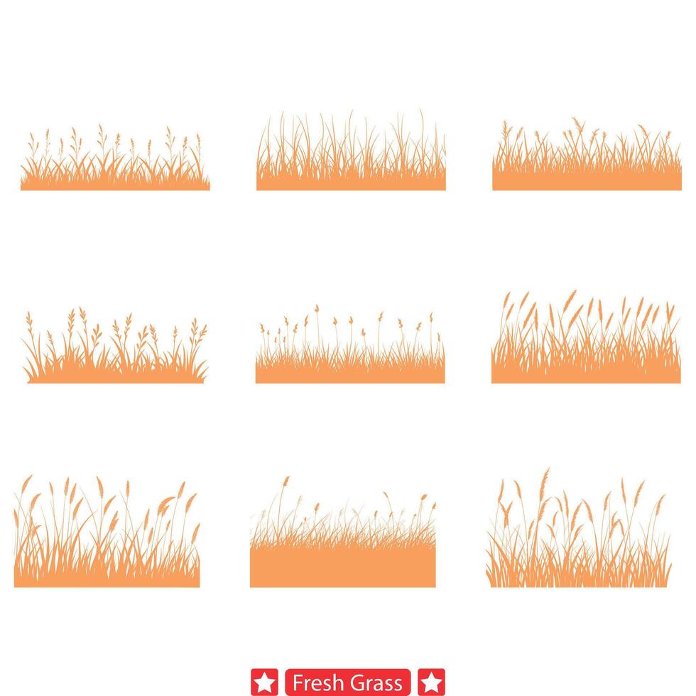 üppig Grün Sammlung beschwingt frisch Gras Vektor Silhouette einstellen zum Natur thematisch Designs