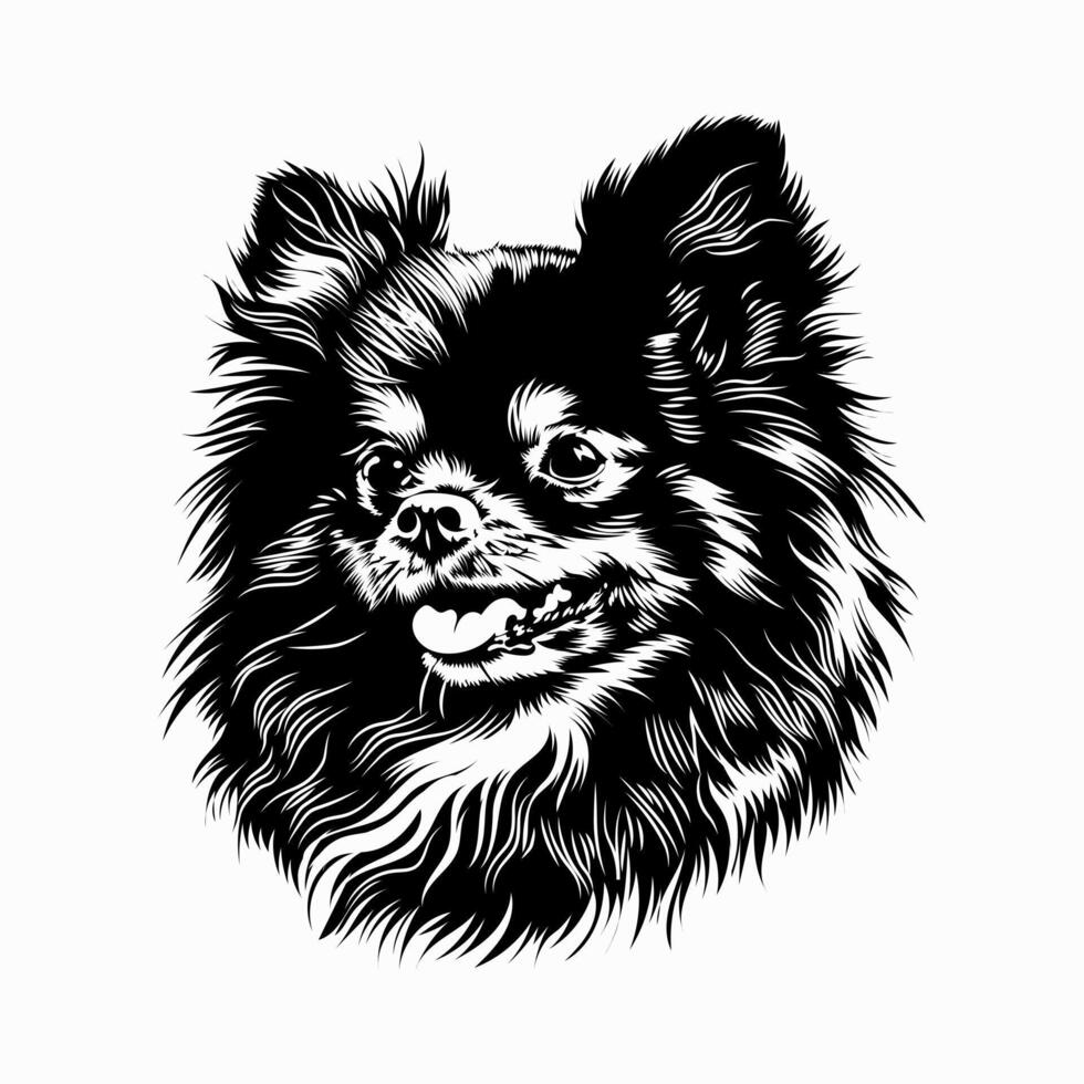 pomeranian hund svart och vit stock vektor illustration