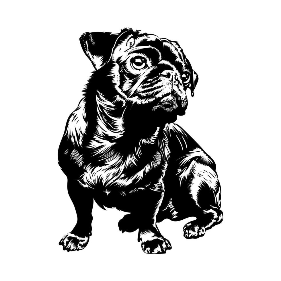 schwarz und weiß werden Bulldogge Hund Lager Vektor Illustration