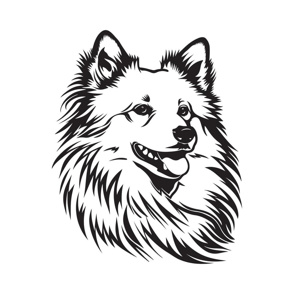 Vektor Illustration süß Weiß amerikanisch Eskimo Hund Kopf Tier Haustier Grafik