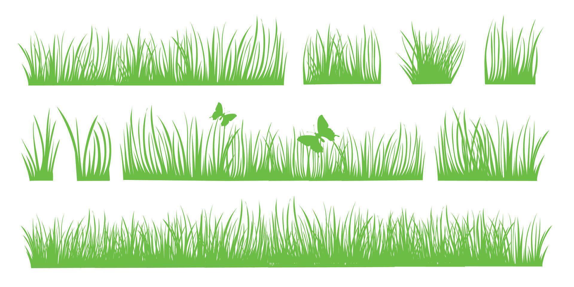 vår och sommar ört- uppsättning isolerat på vit bakgrund. grön gräs. vektor illustration
