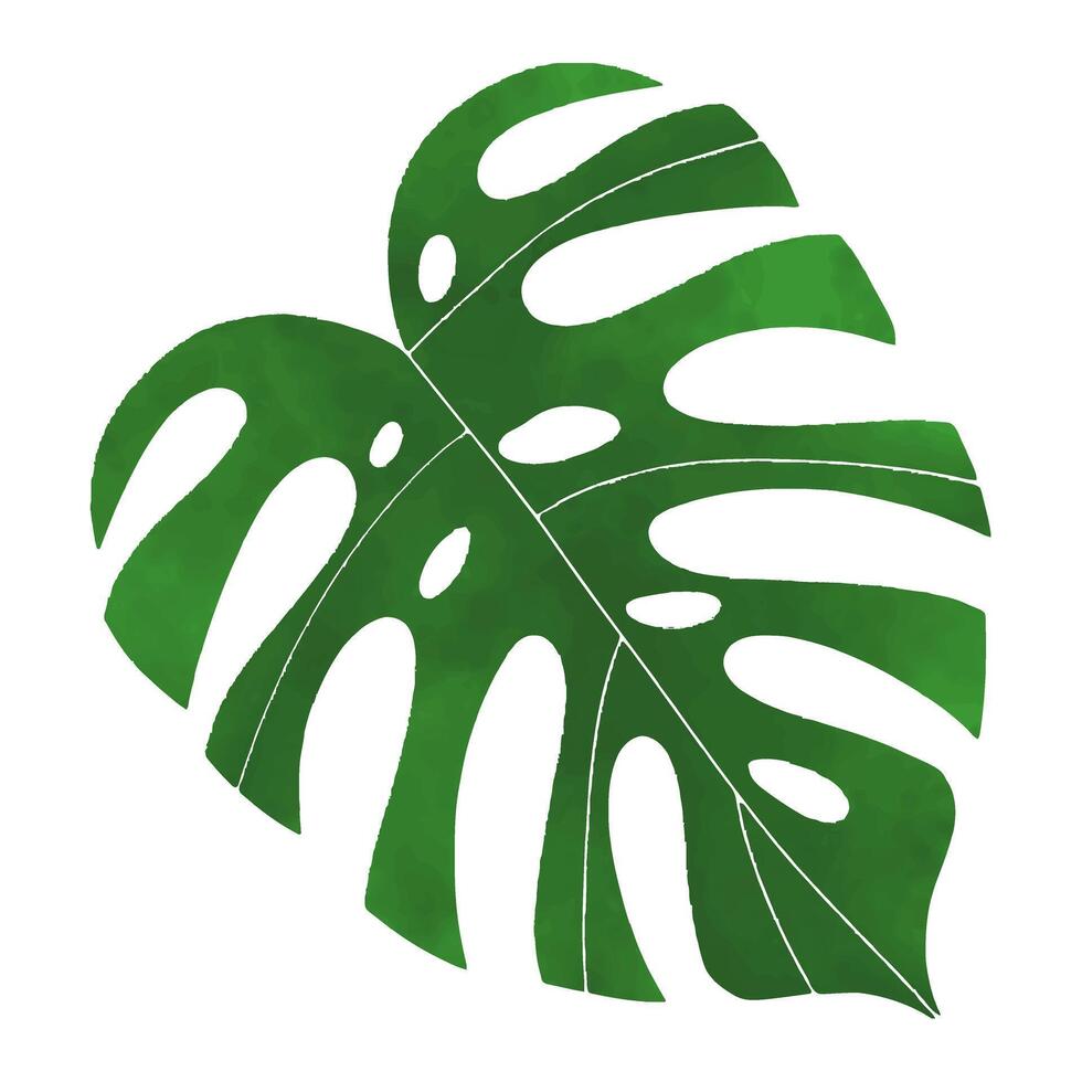 monstera vattenfärg grön blad isolerat vektor