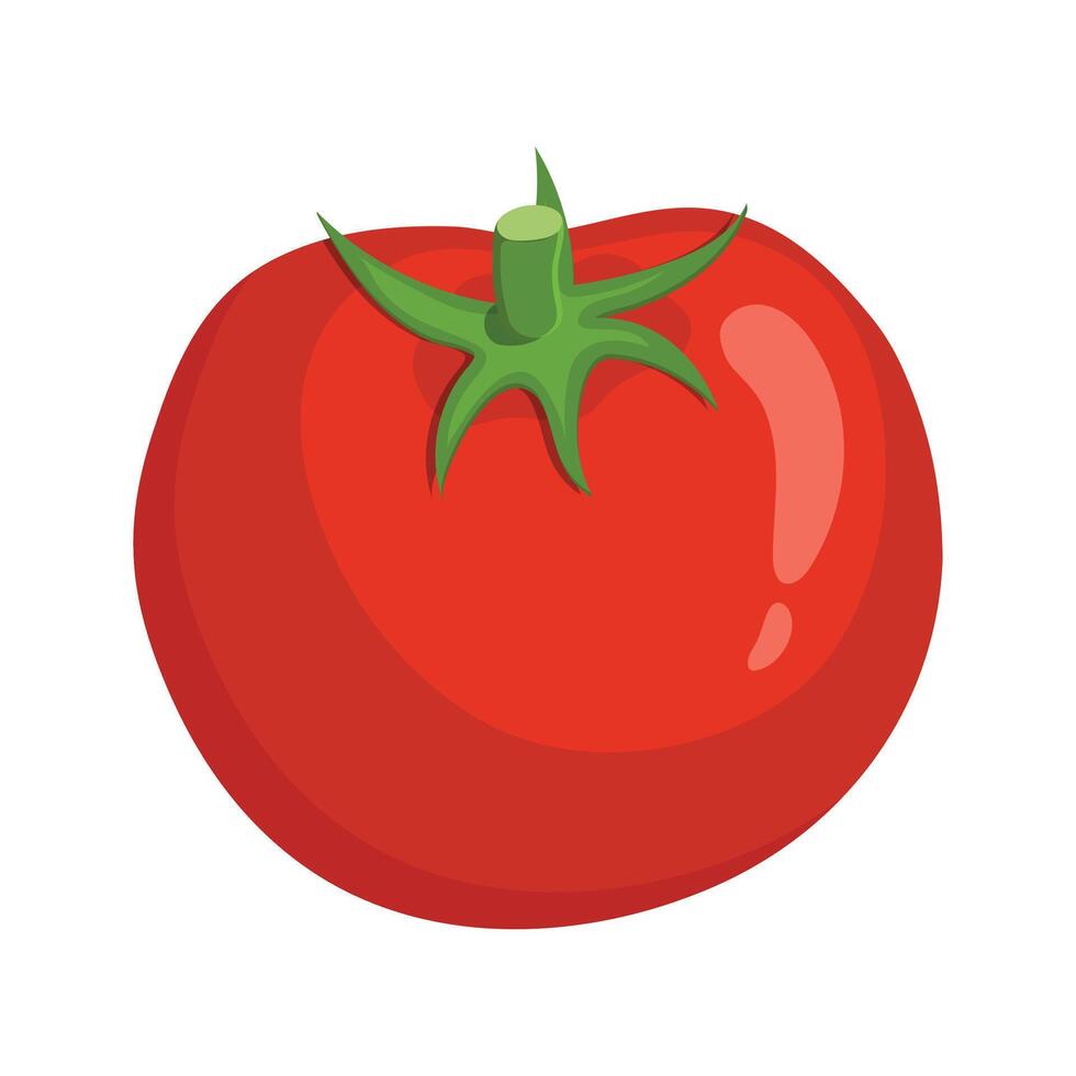 vektor färsk tomat vegetabiliska på vit bakgrund