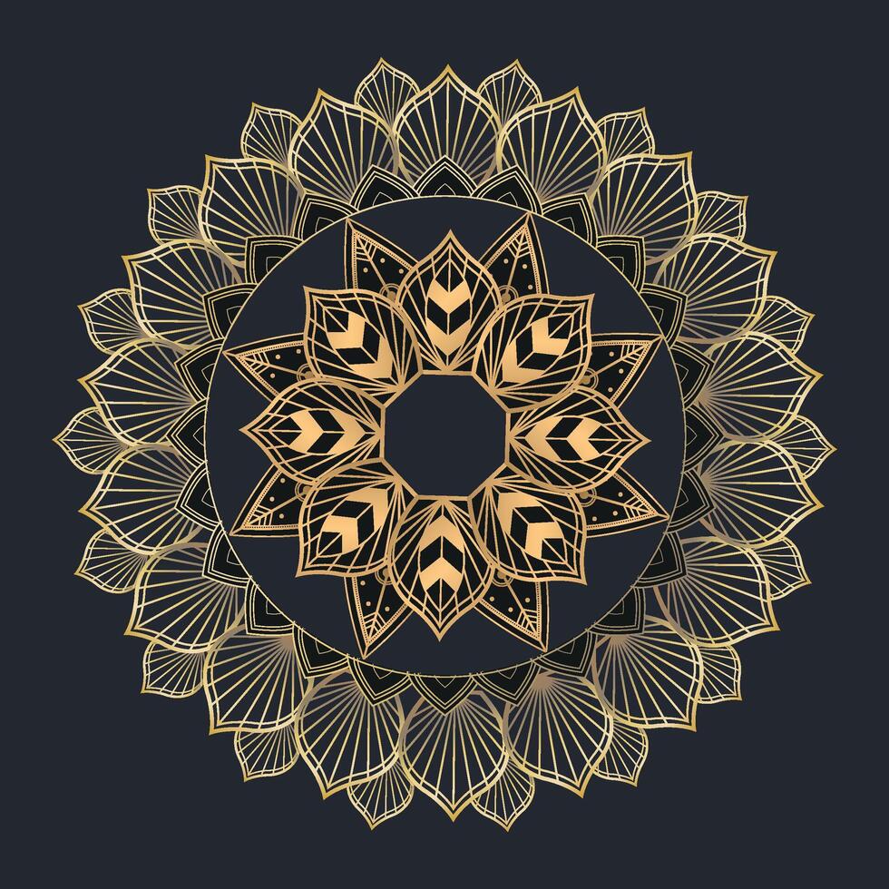 vektor skön mandala design dekorativ klassisk bakgrund