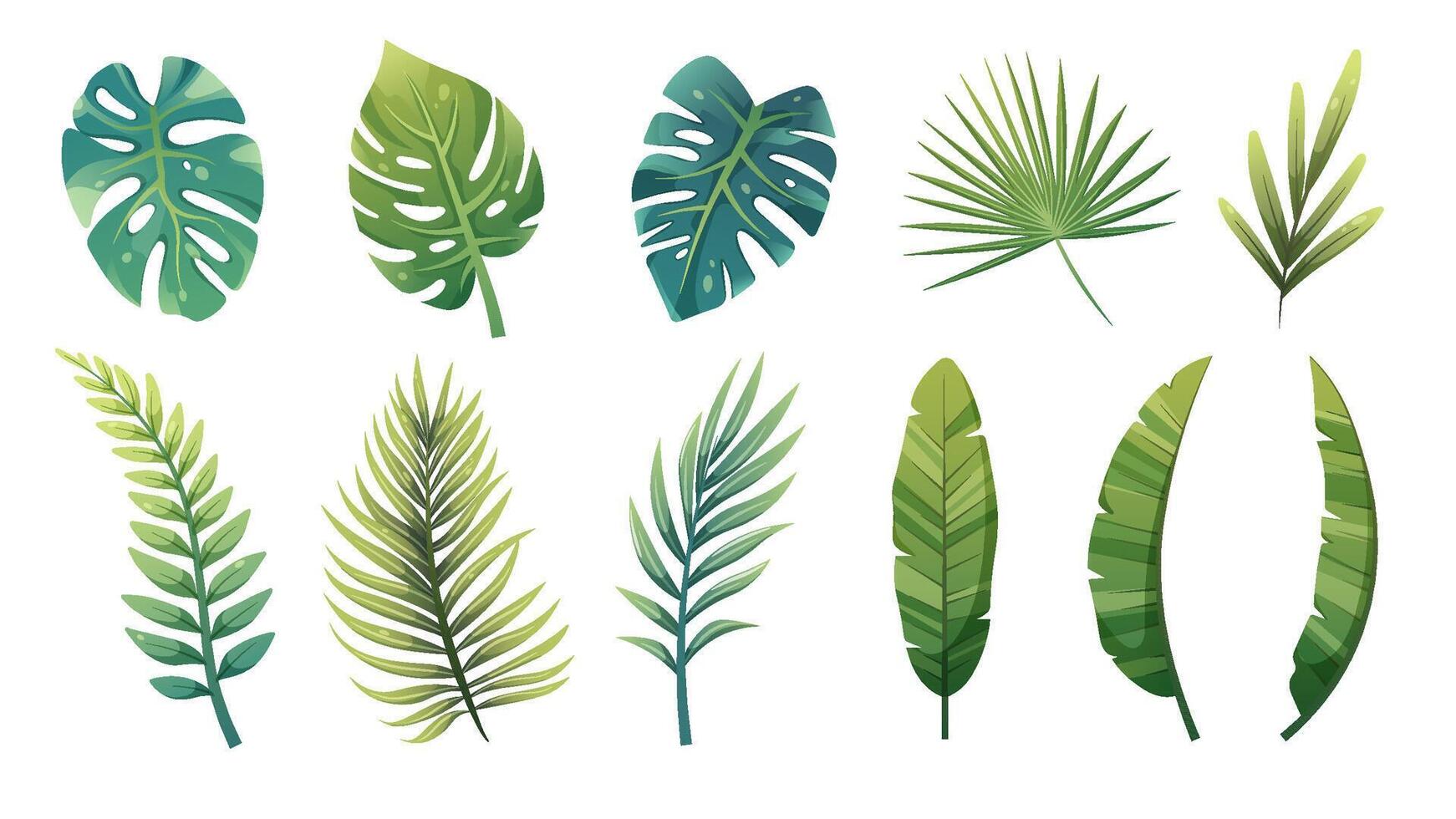 tecknad serie uppsättning av grön tropisk löv av handflatan träd, monstera, banan, Croton, ormbunkar. vektor design element på vit bakgrund för spel, grafik, mallar