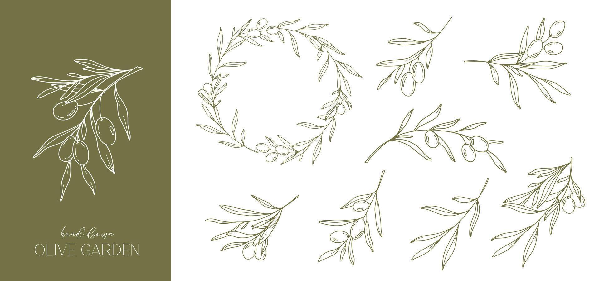 Oliven Linie Zeichnung. schwarz und Weiß Olive rahmen. Olive Kranz isoliert. Blumen- Linie Kunst. fein Linie Olive Illustration. schwarz und Weiß Olive Geäst. Hand gezeichnet Olive. Hochzeit Einladung Grün vektor