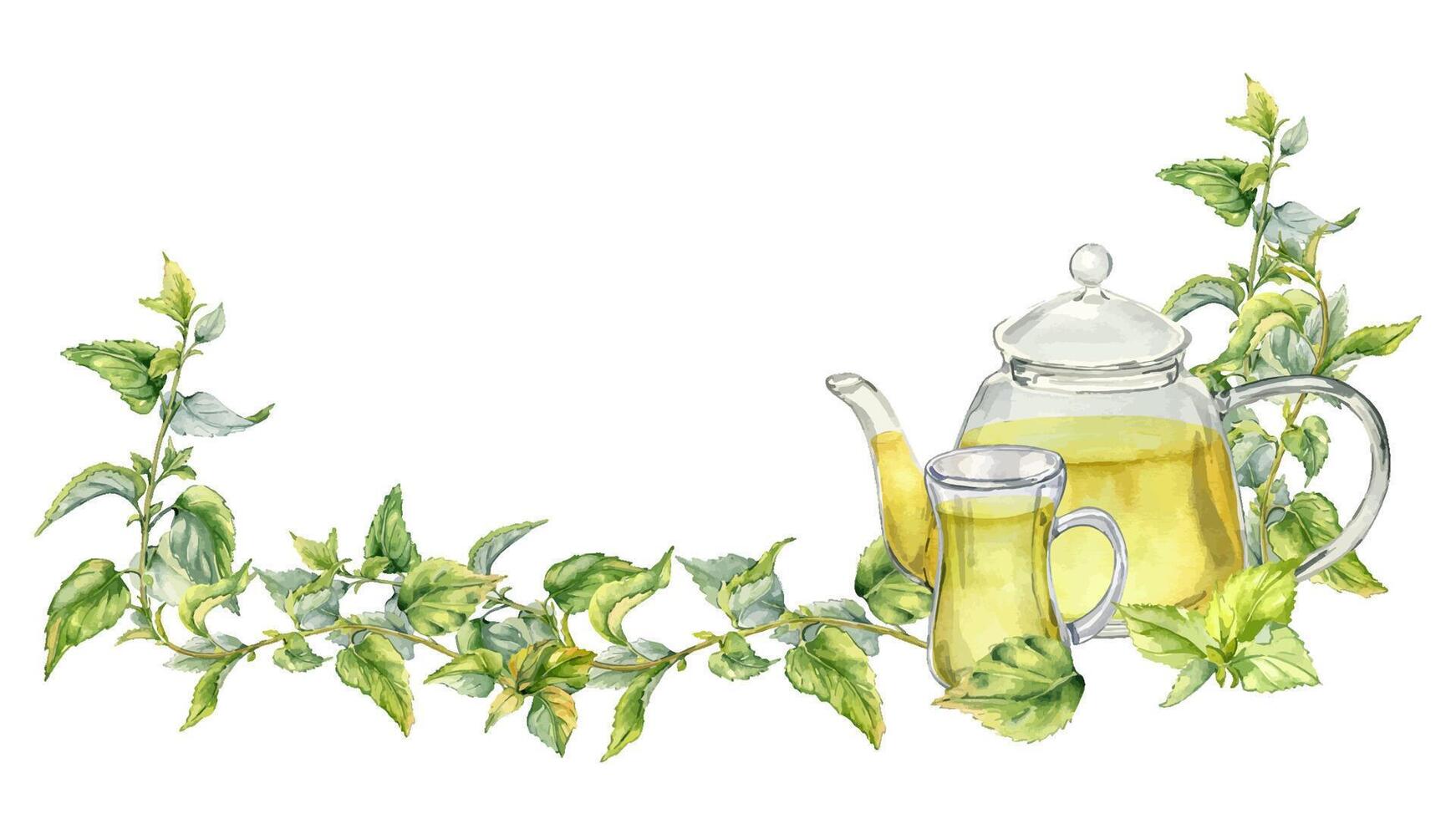 Banner mit Nessel Medizin Pflanze Aquarell Illustration isoliert auf Weiß. Glas Teekanne mit Tee von Kräuter- Pflanzen Hand gezeichnet. Design Element zum Etikett, Paket, Nessel Produkt, Apotheker vektor