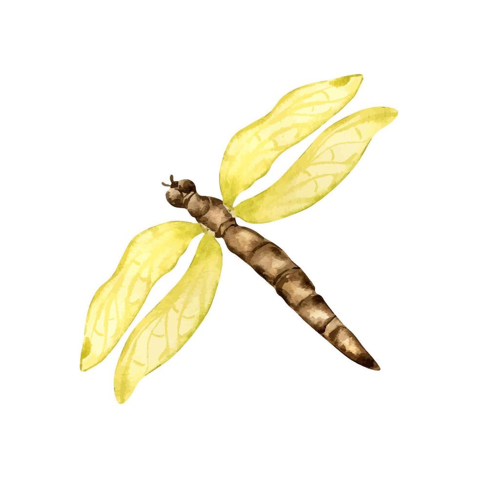 vattenfärg trollslända med gul vingar isolerat på vit. flygande trollslända illustration hand ritade. färgrik skiss insekt med transparent vingar. element för hälsning kort, servis, textil. vektor