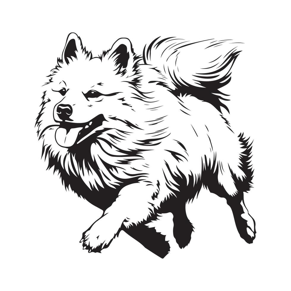 süß amerikanisch Eskimo Karikatur Hund. Vektor Illustration von ein amerikanisch Eskimo Hund