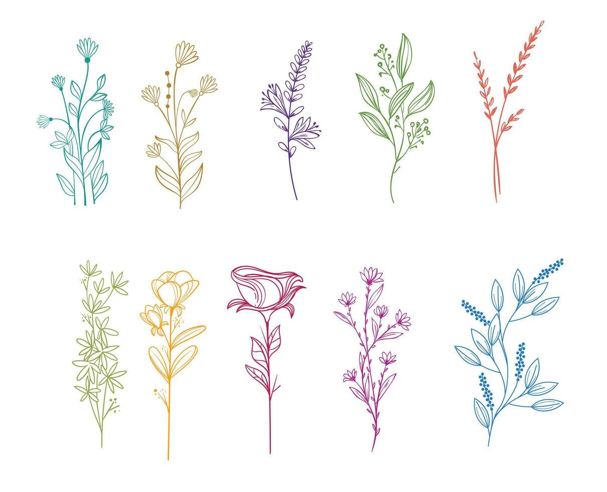 wilde Blumen-Vektor-Sammlung. kräuter, krautige blütenpflanzen, blühende blumen, halbsträucher isoliert auf weißem hintergrund. handgezeichnete detaillierte botanische vektorillustration. vektor