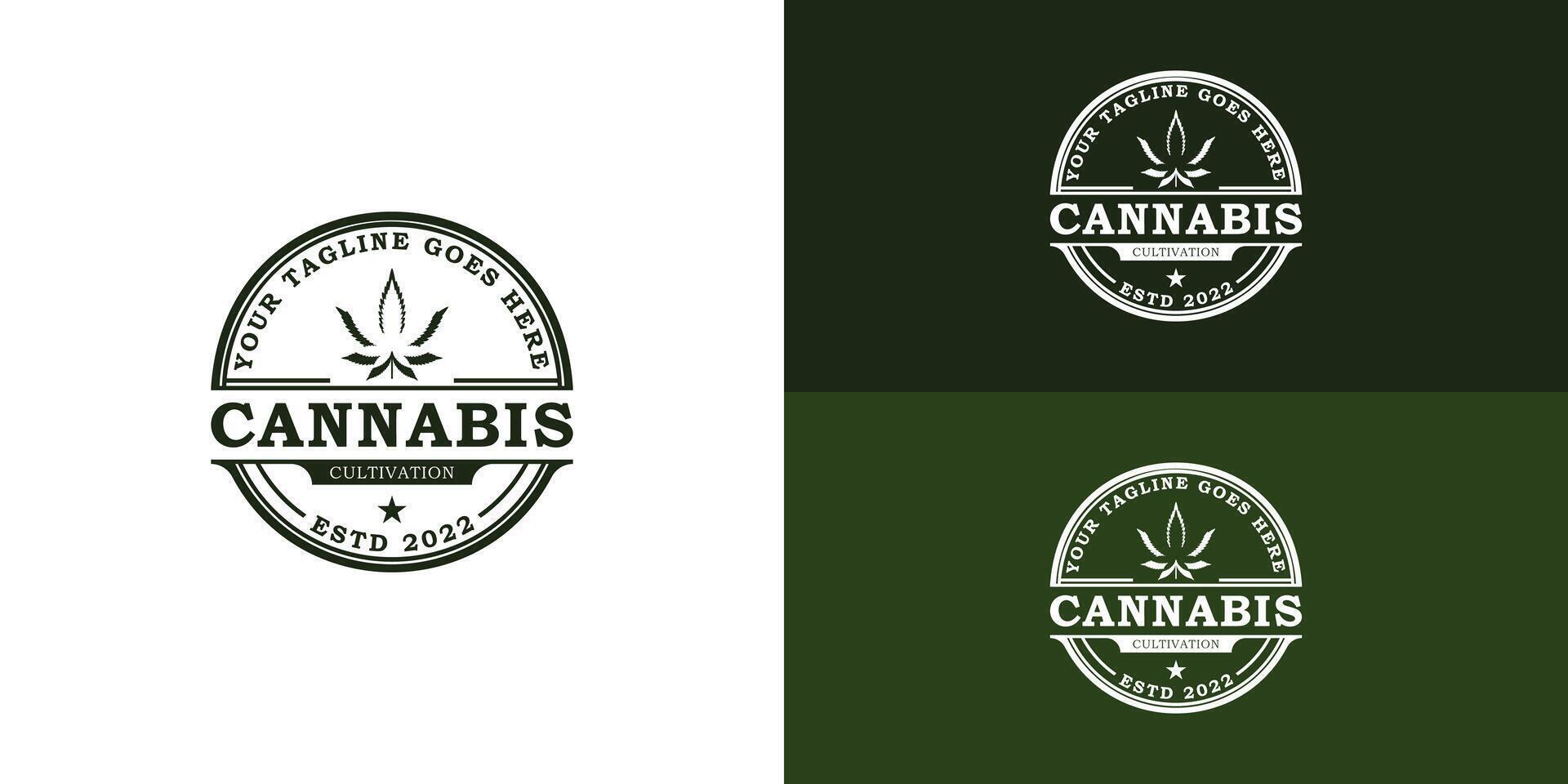 Jahrgang Cannabis Marihuana Hanf mit retro Briefmarke Etikette Logo im tief Grün Farbe isoliert auf mehrere Hintergrund Farben. das Logo ist geeignet zum Gesundheitswesen und medizinisch Geschäft Logo Design Inspiration vektor