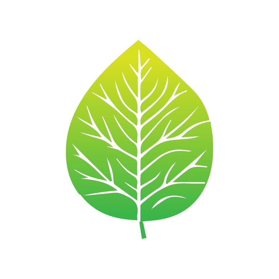 grön blad ikon. löv ikon på isolerat bakgrund. samling grön blad. element design för naturlig, eko, vegan, bio etiketter. vektor illustration