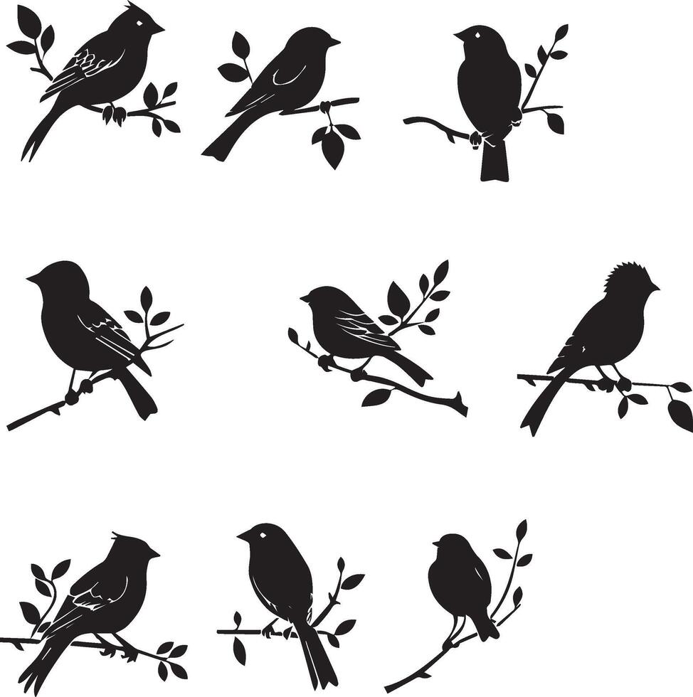 uppsättning av fågel på en träd gren svart silhuett vektor