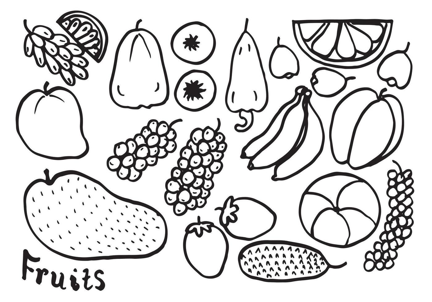Gekritzel-Fruchtsatz. handzeichnung von früchten in verschiedenen stilen. vektor