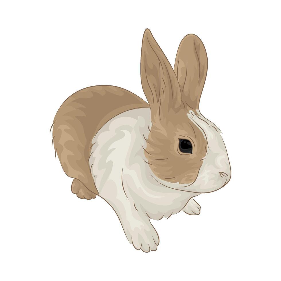 Illustration von Hase vektor