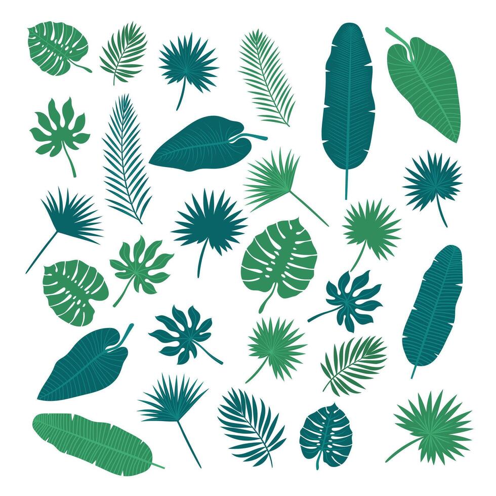 Sammlung von tropisch Blätter. Natur Elemente zum Ihre Design vektor