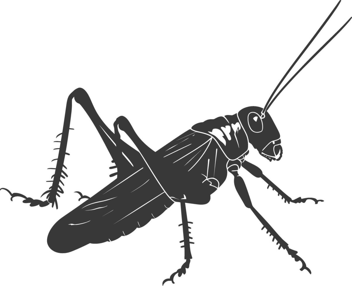 ai generiert Silhouette Kricket Insekt Tier schwarz Farbe nur vektor